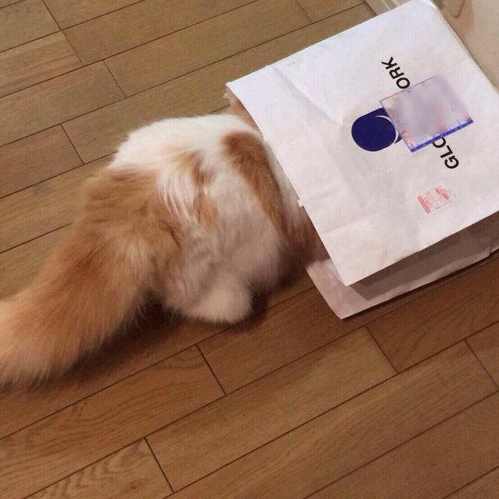 Da52b4aa 9c49 4501 b6e3 d1c105aac436