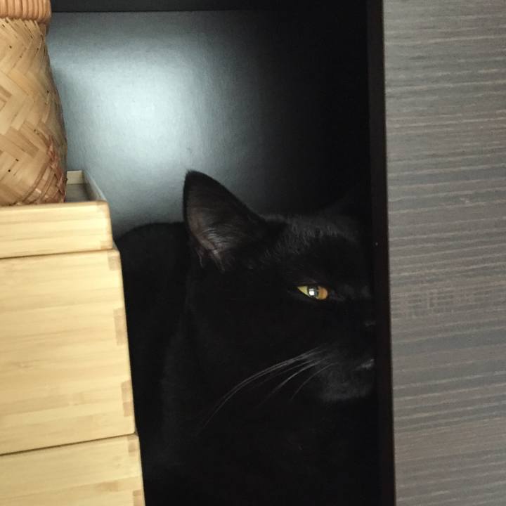 Da52e861 7f78 4f32 a386 c907db9acdbf