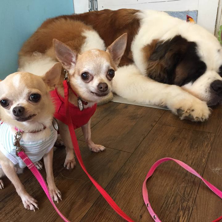 Da52f01f b7a9 4f1c 8dc9 39911cd5d1e8