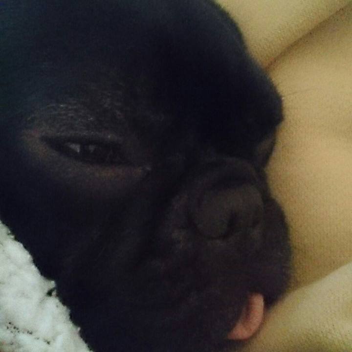 Da533244 ffff 49ce 98ae 0cc6b7141093