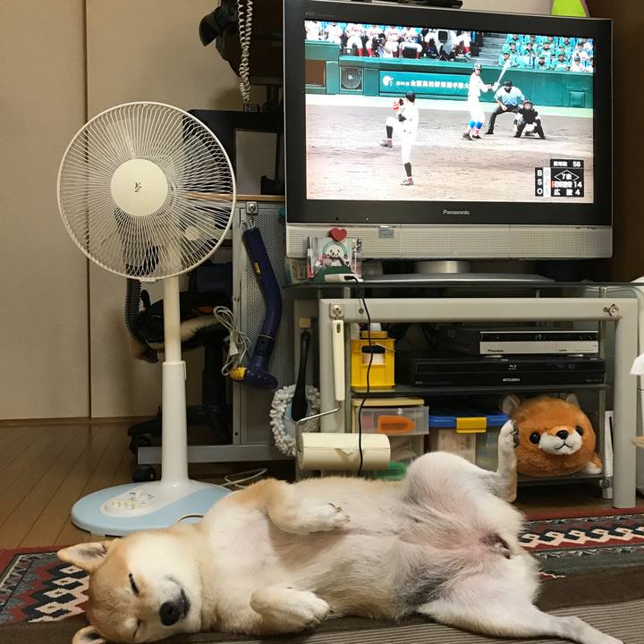 Da53f851 6f44 4942 ae26 98edadc1d436