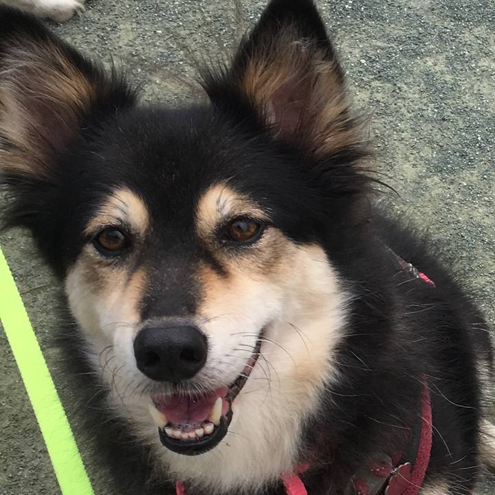 Da5424f3 2330 4726 b4ad 61af80657ec5