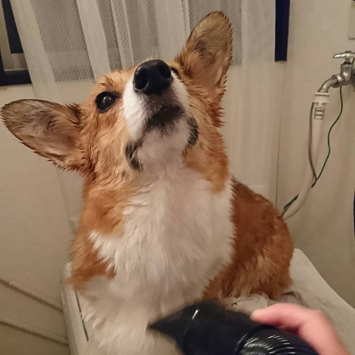 Da54281c d33b 43b1 992c 4b81473f254c