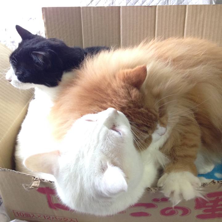 Da547277 c494 4b08 930a 566b0645d5db