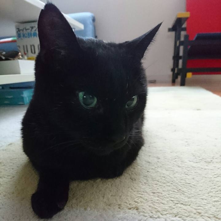 Da55bdc9 80ae 4a0c 943b f70eb6252092