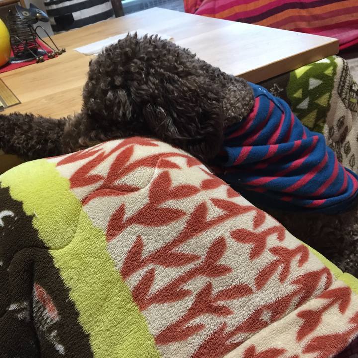 Da55cc55 a952 4c8b 8026 7a4c2c6d35ba