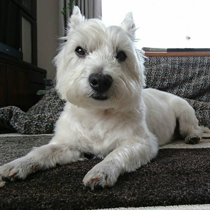 Da563386 8a66 4768 9038 1006e4974be3