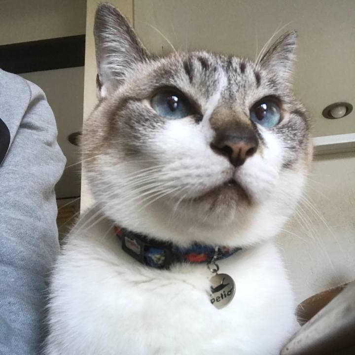 Da563e0e 739c 44e4 ba71 a1747825dbd4