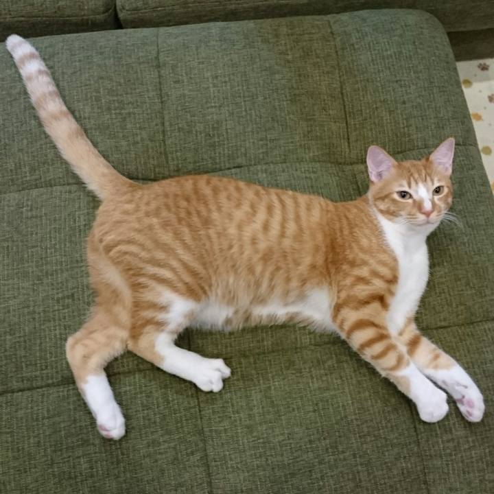 Da56ef1a 2485 48ab b5e8 ee6ac5d28afc