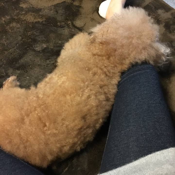 Da5764b5 c34e 482a 9d71 37d444820f15