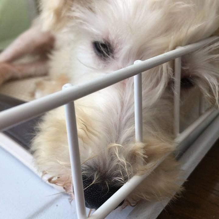 Da57bfad a092 4461 90e2 932f3af9023c