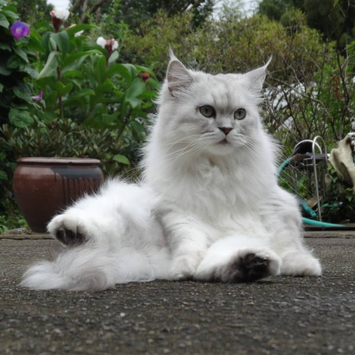 Da58f702 9dfc 4b7c b52b f1a82e794536