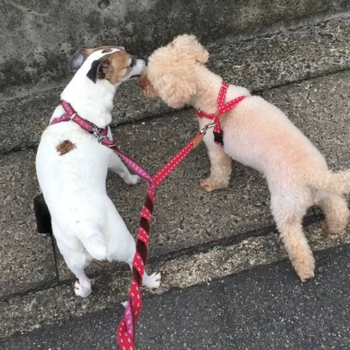 Da590699 7d26 4837 b8ec b022c04e0fe8