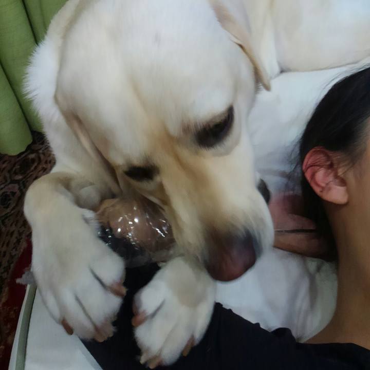 Da597879 3762 4406 a471 93e0fa5c6610