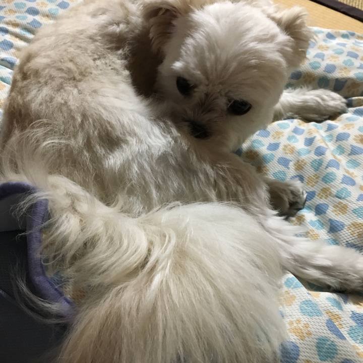 Da5a16b6 1468 4cbc 8846 a1f1ecd5a094