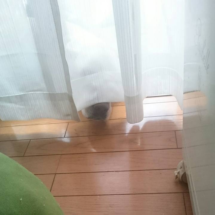 Da5a7d6d 4e3f 4ded be65 52c9410e96b2