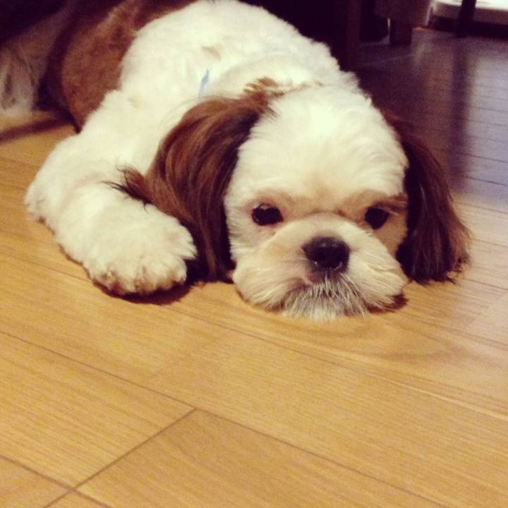 Da5a991e 05ed 411a 8cc5 2f609badf760