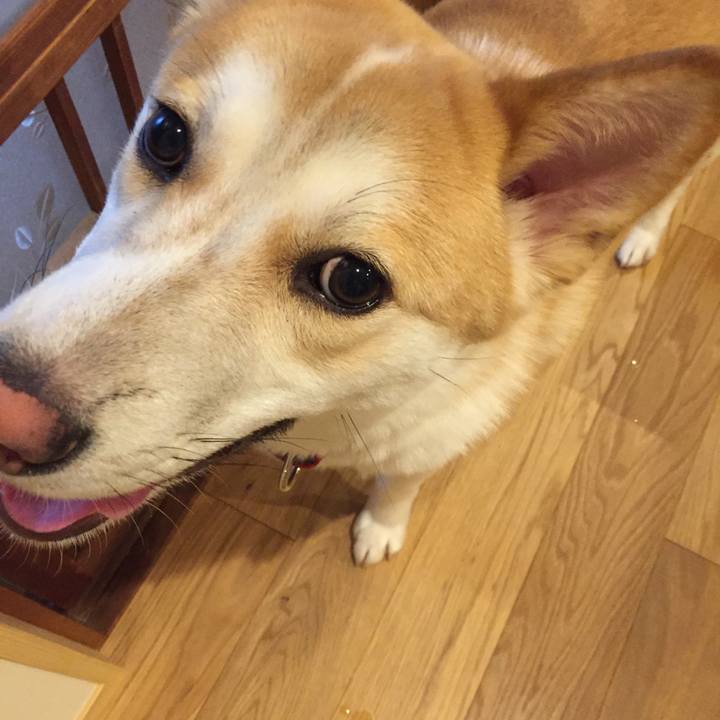 Da5b12c0 e3a1 48ff af60 39b3a7732c6d