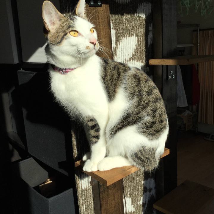 Da5b3ea7 3bcf 4f69 a64d 7575d57b5b2b