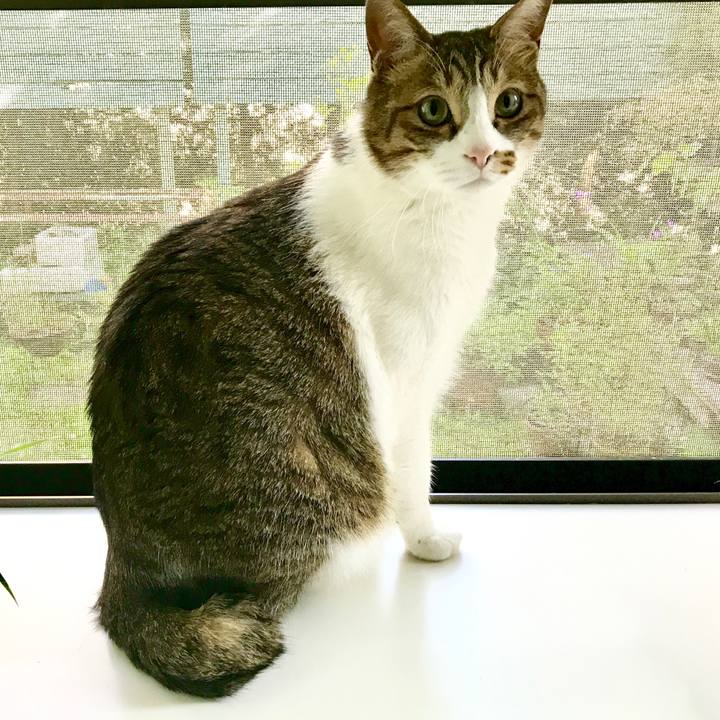 Da5bdf74 8586 42dc 981f becb9f47bde6