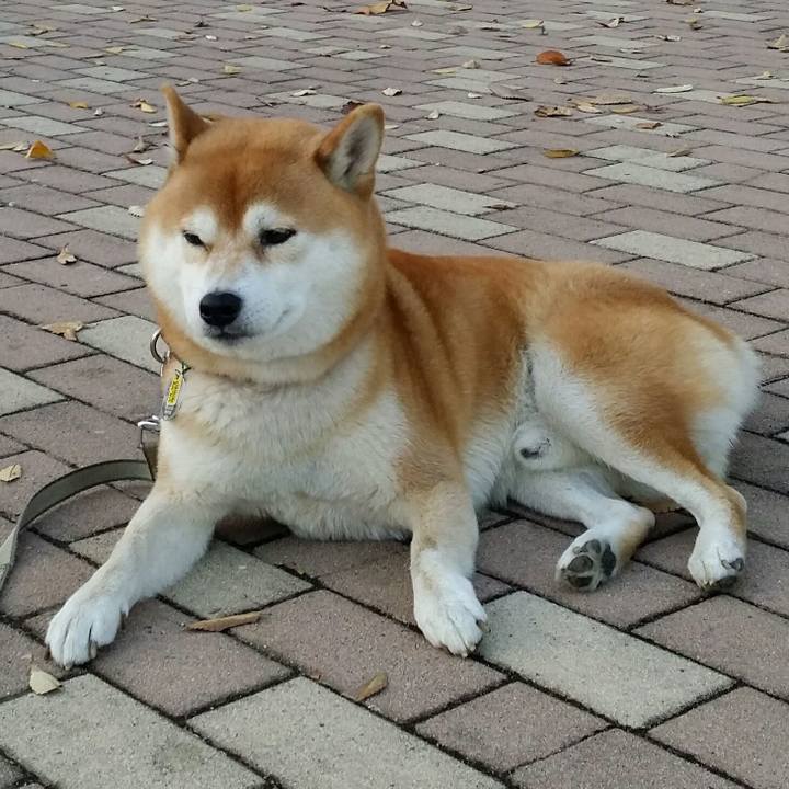 Da5c3ec2 b129 4e69 b9cf 93c97286c026