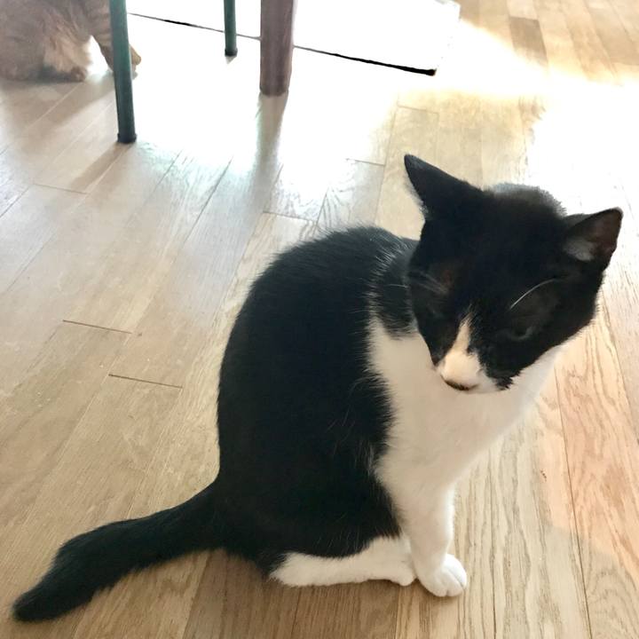 Da5c4272 9add 4c1e b23f a457d6525845