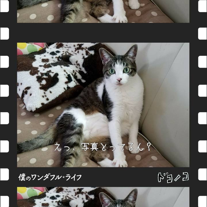 Da5c957c 659e 443a 8fc9 4b9cd0e40e39