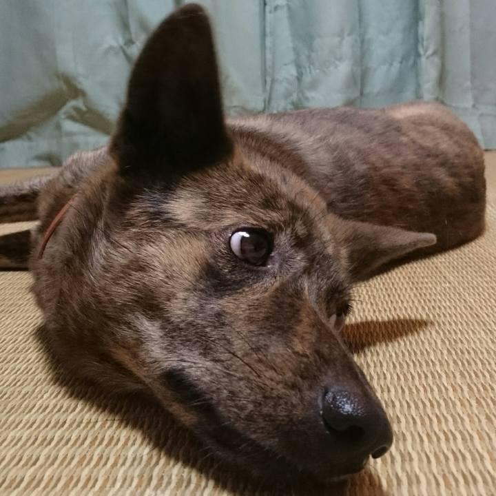 Da5d3304 43ce 4c06 b81e 0e50f051becb