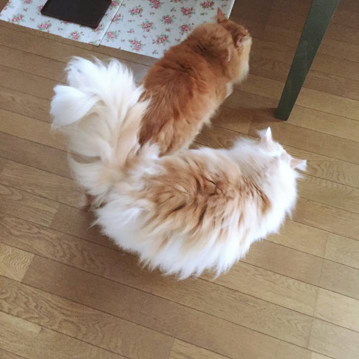 Da5e0de0 2a22 41ca 943b 171e9033921e