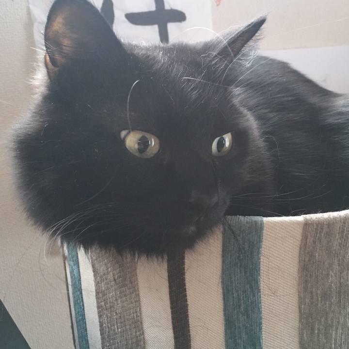 Da5e57ca 6e8f 42b1 aade b38988de43b3