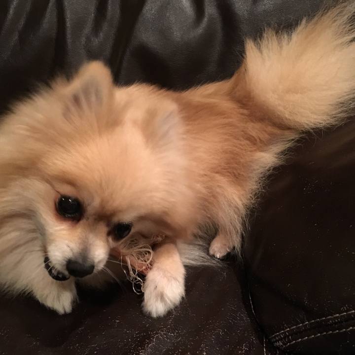 Da5ec72c e008 4a03 b3c1 b01ee4a7e843