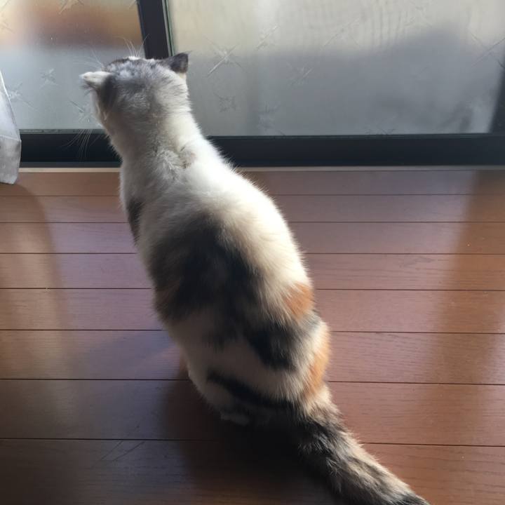 Da5ef626 7adb 46c5 a799 bb13d2ade1c4