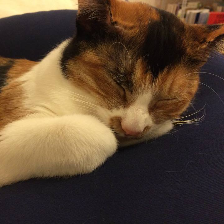 Da5f7d19 ff3d 4059 8ea2 7f2248e9133c