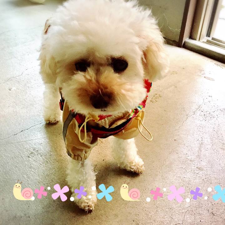 Da5f7f1f 8f58 4352 b4b6 84e07243d593