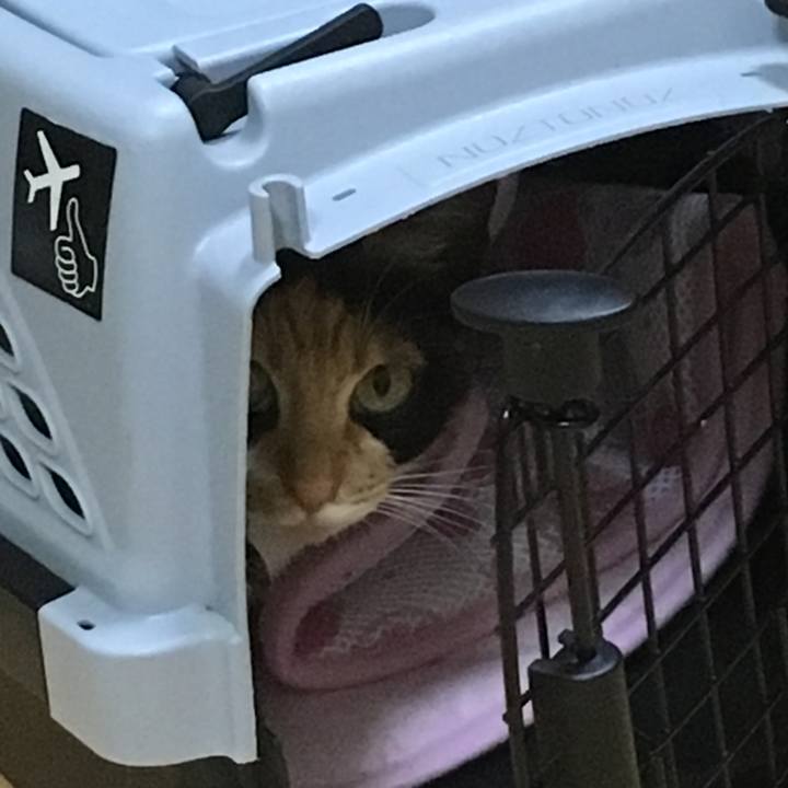 Da6035a5 e562 4848 9930 43603b7585c8