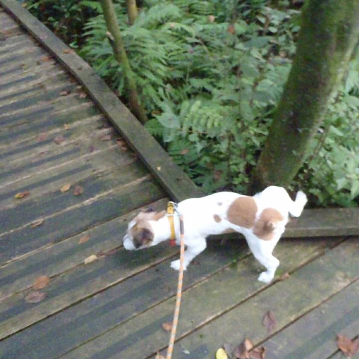 Da604205 9d87 4773 9ddf 992d12acea94