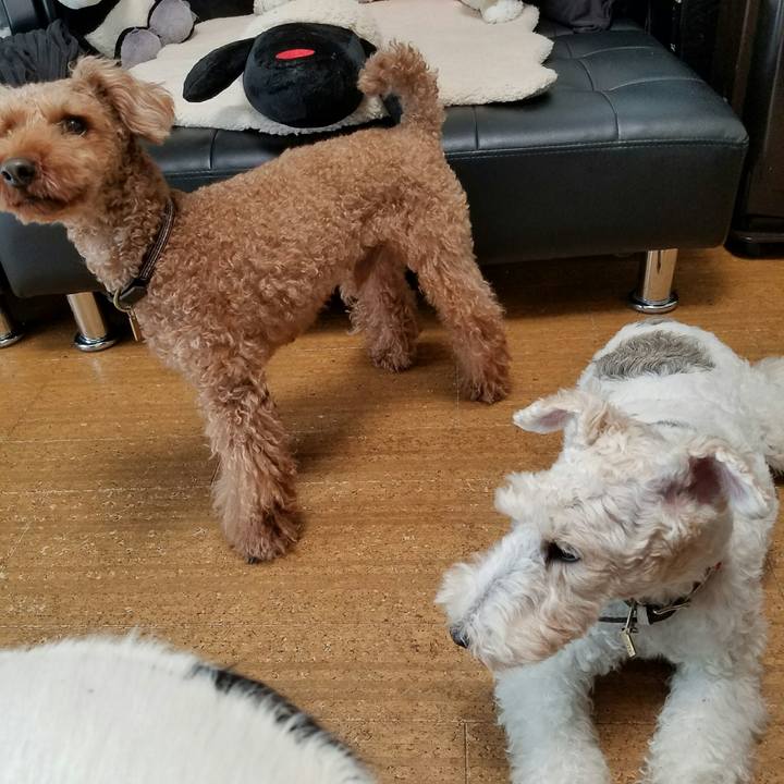 Da6138ad ed86 4c29 8518 d6f0d4b317c5