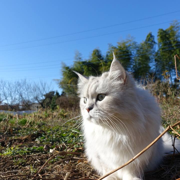 Da617321 2fc9 4241 a452 6846ae3dfd63