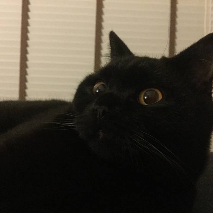 Da6185b5 367c 4ddf b5ae a06c10aab0f0