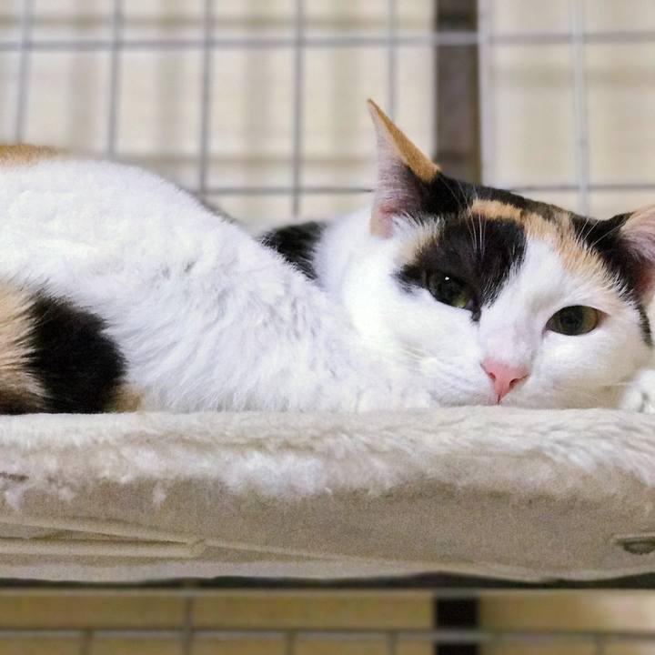 Da61908d 19e2 42b7 8c73 7ebd0fb40f77