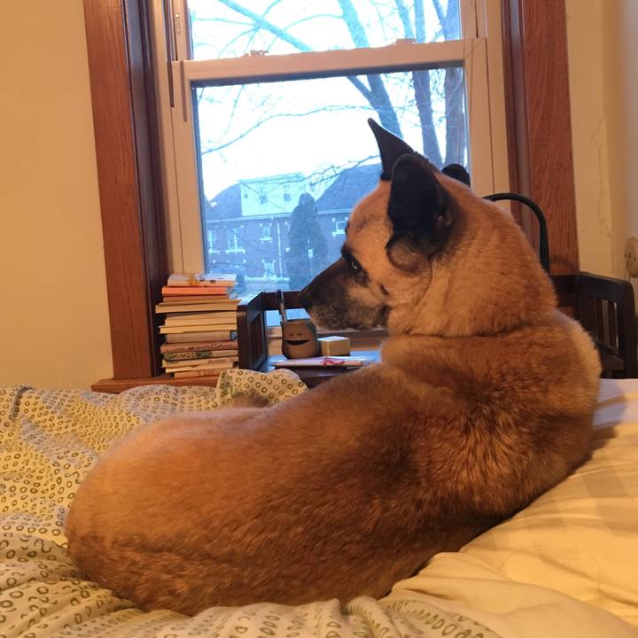 Da61d983 e14e 4969 933b a43d88b1a9bc