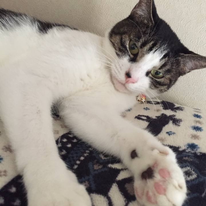 Da61eab0 e349 45e5 9d59 cdeb9841eae8