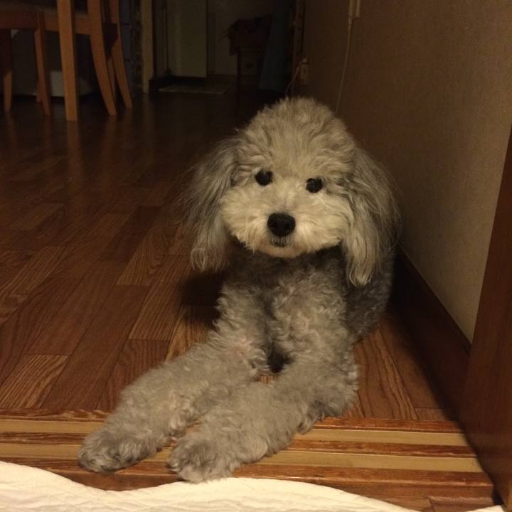 Da61eb4d b955 48c0 be25 259a0db3e0b2