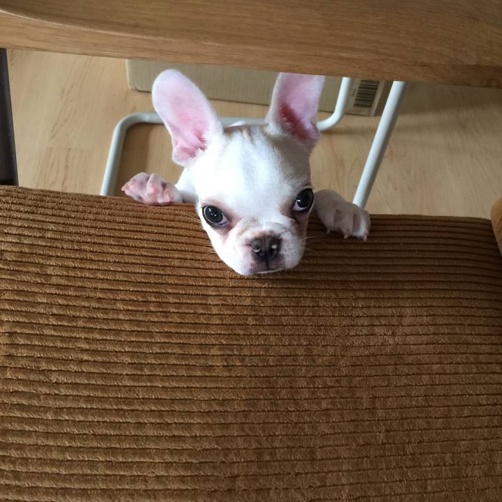 Da625082 3da3 4ab2 969a 2070099b0fcd