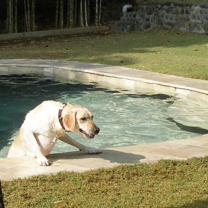 Da62a177 1681 467a 8c99 ff8fe5be8791