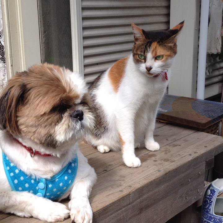 Da63941c 19fa 4cd3 9b2c ca0700fa7000