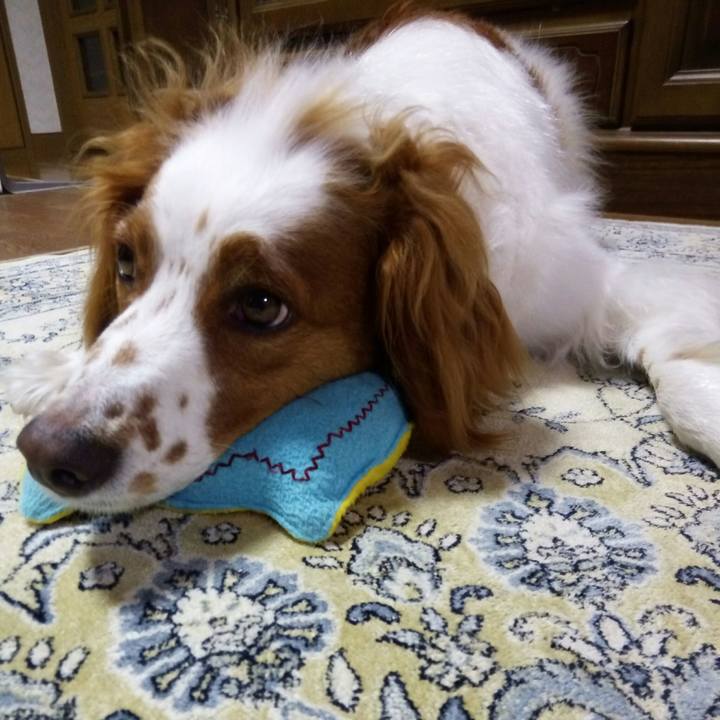 Da63d5b9 cc44 4068 8e9c 58f8ba8a8476