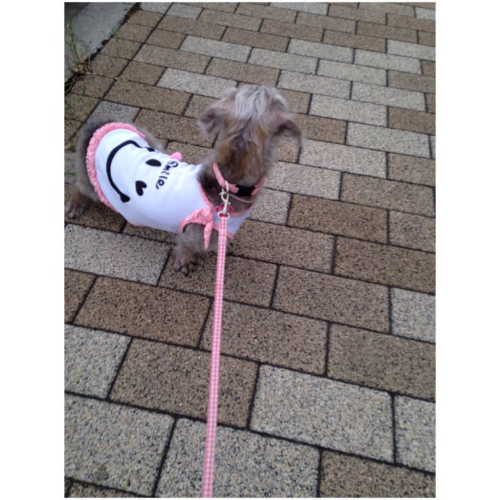 Da640b02 23f9 4b92 8056 f47efc5b1547