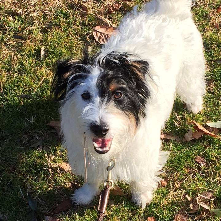 Da64380d 9ada 4c5f a1be 65201c10d5bc