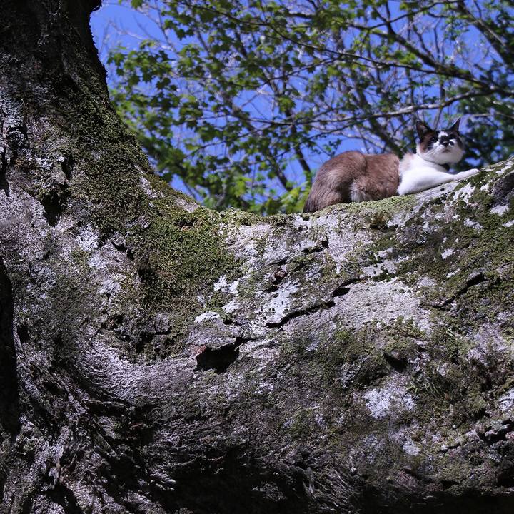 Da65bc84 3092 4dd5 a1ea 2d6f2780e93a